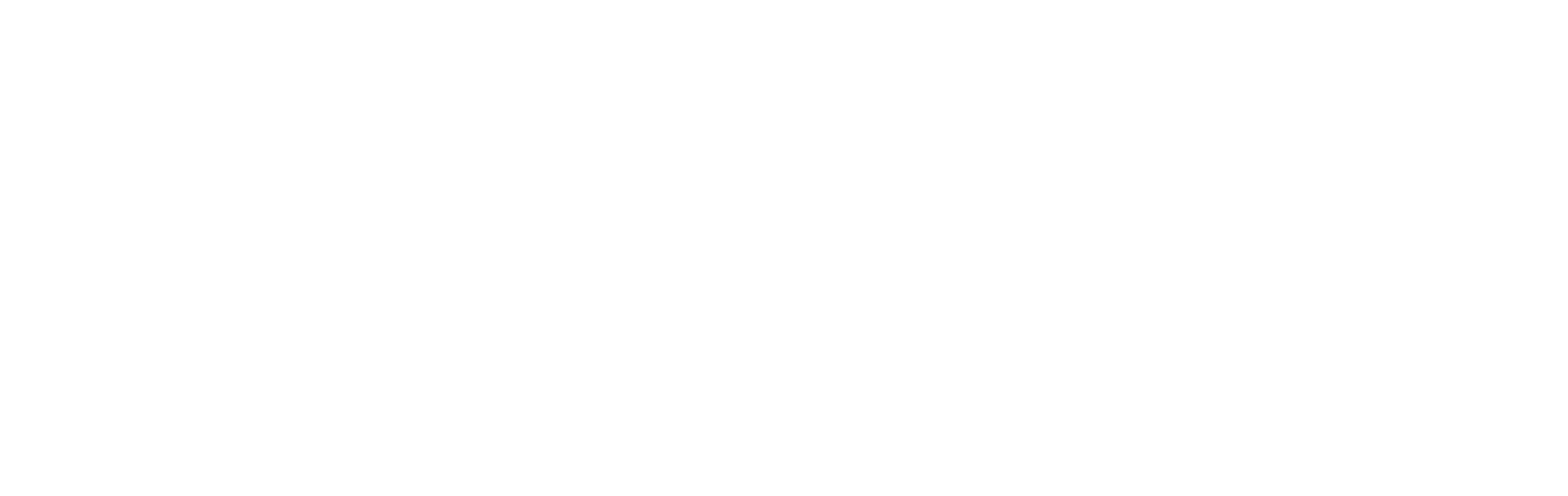 WorldBI Logo